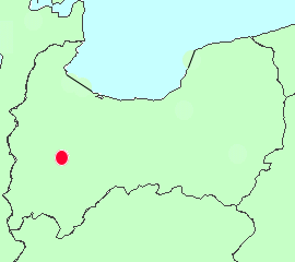 ʒu